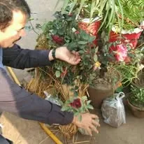 Green Seekers Activity